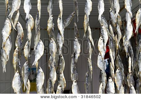 Baggrund af bundter af tørrede fisk