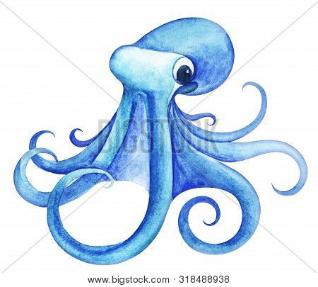 Large Marine Octopus Bright Blue. Big Expressive Eyes. Tentacles Are Twisted Into Elegant Rings. Han