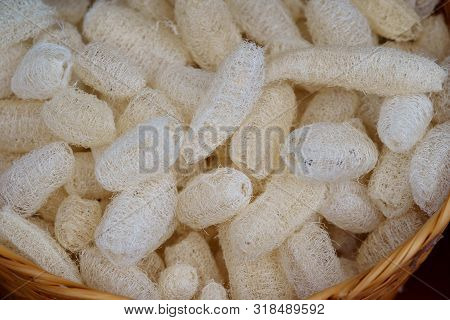 Natural Sponge Vegetable Thai Luffa Scrub For Body Scrubbing