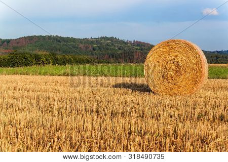 Straw Ball On Field In The Czech Republic. Harvested Field. Morning On The Far. Hay Bales After Harv