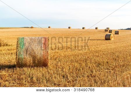 Straw Ball On Field In The Czech Republic. Harvested Field. Morning On The Far. Hay Bales After Harv