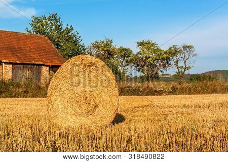 Straw Ball On Field In The Czech Republic. Harvested Field. Morning On The Far. Hay Bales After Harv