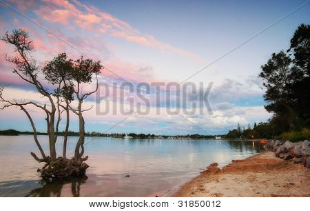 schönen Sonnenuntergang über eine einsame Mangrove in yamba