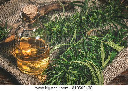 Cbd Oil Bottles And Green Plant Of Cannabis On A Wooden Background. Herbal Medicine.