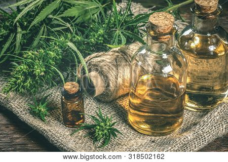 Cbd Oil Bottles And Green Plant Of Cannabis On A Wooden Background. Herbal Medicine.