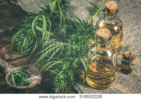 Cbd Oil Bottles And Green Plant Of Cannabis On A Wooden Background. Herbal Medicine.