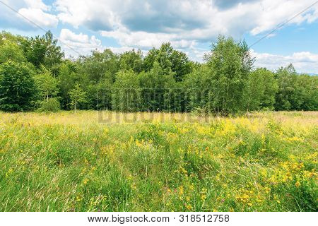 Grassy Glade In Mountain. Beautiful Nature Scenery On A Cloudy Day Among The Forest In Summer Time. 