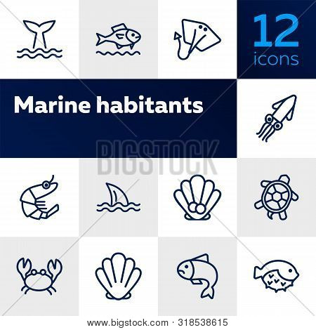 Seaanimal Concept. Vector Illustration Can Be Used For Topics Like Seafood, Cuisine, Cooking