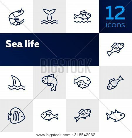 Sea Products Icon Set. Seaanimal Concept. Vector Illustration Can Be Used For Topics Like Seafood, C