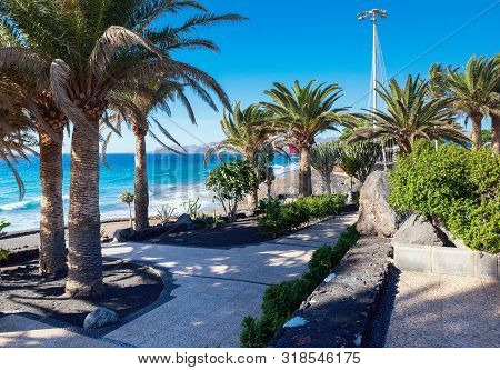 Puerto Del Carmen Beach In Lanzarote, Canary Islands, Spain. Blue Sea, Palm Trees, Selective Focus