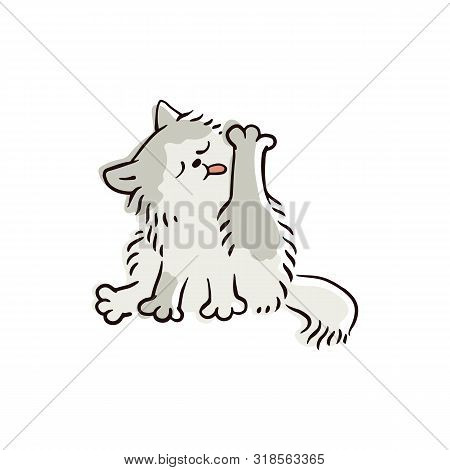 Cute Domestic Cat Cleaning Its Fur. Feline Animal Cartoon Character Licking Its Paw