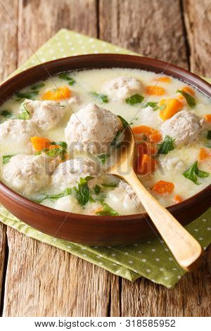 Tasty Bulgarian Soup Topcheta With Meatballs Close-up In A Bowl. Vertical