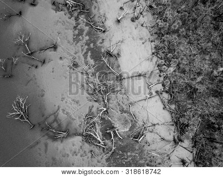 Aerial view of trees and coast damaged by storm surge from hurricane.