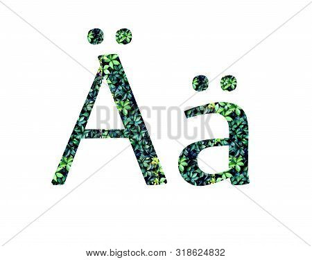 German Letter A Umlaut. Alphabet, Letters  From Green Grape Leaves.
