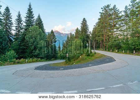 Driveway With Spruce Trees To Hatsvali, Mestia, Georgia.