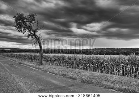 On The Empty Road Between Fields Before Harvesting At Dramatic Sunset, Czech Republic