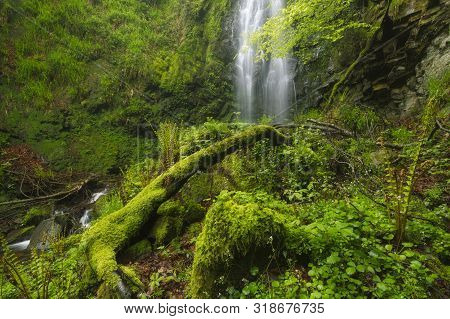 Gorbea Natural Park, Bizkaia, Basque Country - May 03, 2014.