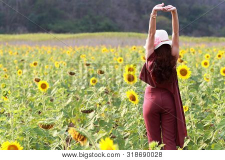 Portrait Of Beautiful Woman Stretching Oneself And Enjoying Among Sunflower Field
