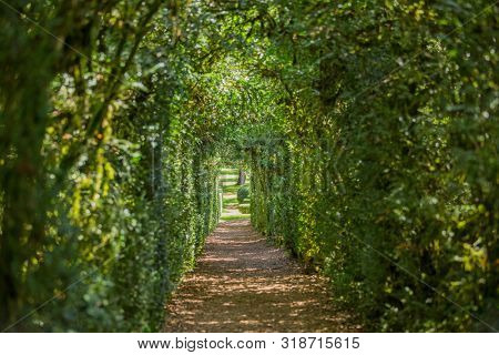 Plant Tunnel in the gardens of the Jardins de Marqueyssac in the Dordogne region of France