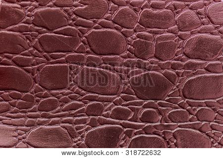 Texture Of Genuine Leather Close-up, Embossed Under The Skin Of Burgundy Reptile, Croco. For Modern 
