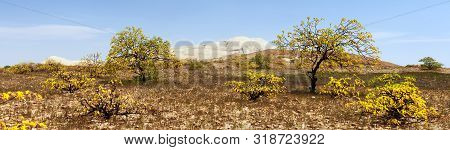 Cerro Blanco Sand Dune, One Of The Highest Dunes On The World, Located Near Nasca Or Nazca Town In P
