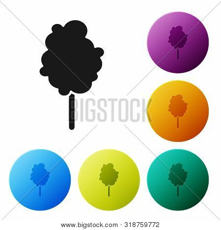 Black Cotton Candy Icon Isolated On White Background. Set Icons Colorful Circle Buttons. Vector Illu
