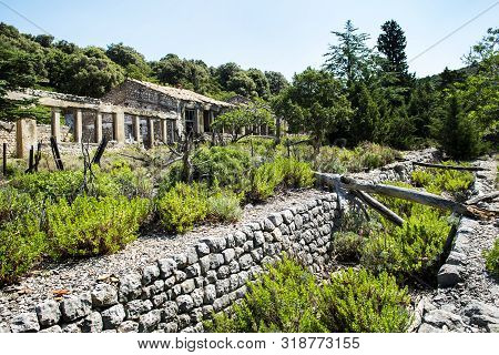 Former Female Prison On The Island Of Croatia - Grgur, Europe.