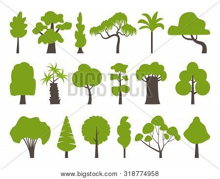 Big Set Of Various Trees. Tree Icons Set In A Modern Flat Style. Pine, Spruce, Oak, Birch, Trunk, As