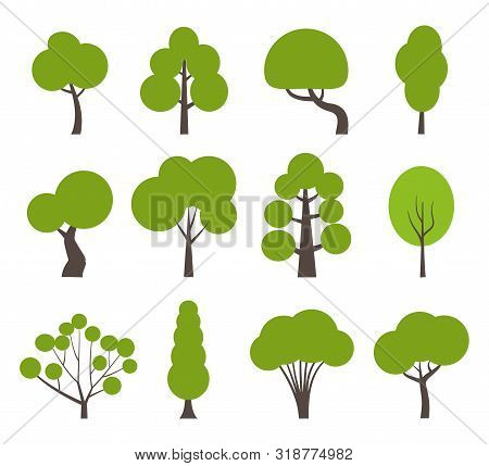 Big Set Of Various Trees. Tree Icons Set In A Modern Flat Style. Pine, Spruce, Oak, Birch, Trunk, As