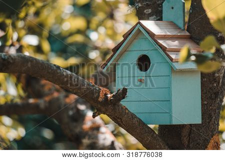 Wooden Blue Birdhouse On A Apple Tree In The Farm Park Zone. Simple Birdhouse Design. Shelter For Bi
