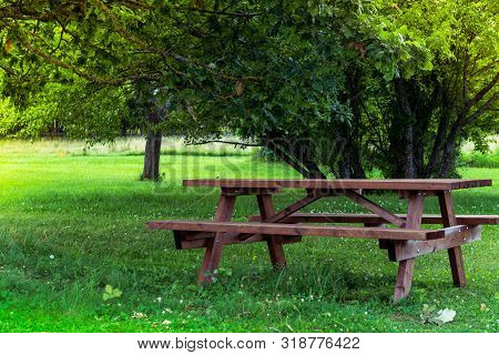Wooden Bench And Table On A Meadow In The Garden On The Old Alpaca Farm. Summer Leisure Time In The 