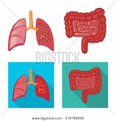 Vector Illustration Of Biology And Scientific Icon. Set Of Biology And Laboratory Vector Icon For St