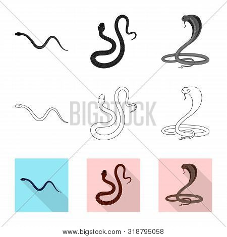 Vector Design Of Mammal And Danger Symbol. Collection Of Mammal And Medicine Vector Icon For Stock.