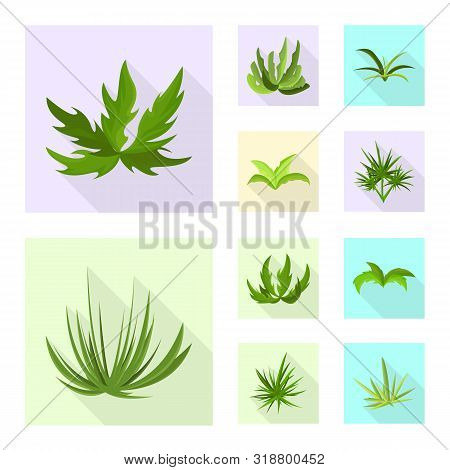 Vector Design Of Landscaping And Summer Sign. Set Of Landscaping And Environment Vector Icon For Sto