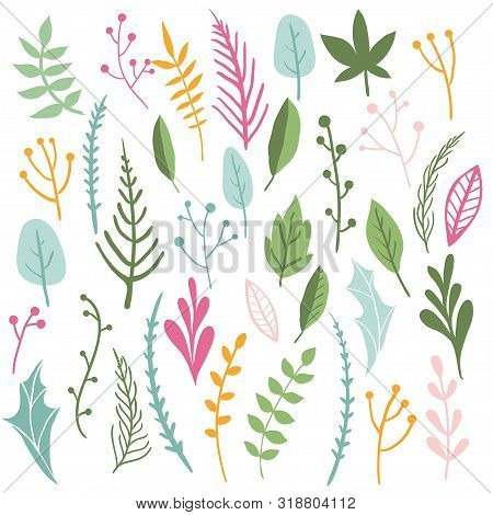 Herbs And Leaves Collection. Hand Drawn Vector Botany Set. Vintage Spring And Summer Seasonal Decor