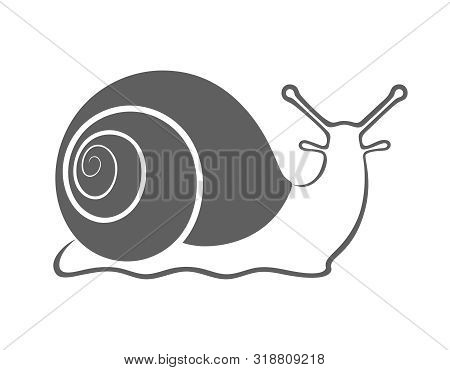Sign Snail. Grey Symbol Snail. Isolated Icon Snail On White Background. Vector Illustration