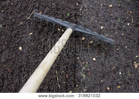 Loosening The Excavated Ground With A Rake Close-up