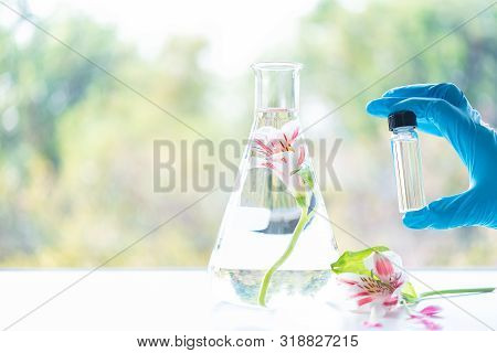 Close Up Scientist Hand Holding Essential Oils With Fresh Flower. Lab Research For Scent Extract For