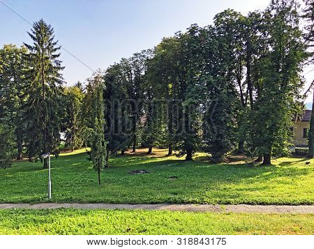 Jankovic Castle Park Or Perivoj Dvorca Jankovic Ili Dvorski Perivoj Jankovic - Daruvar, Croatia