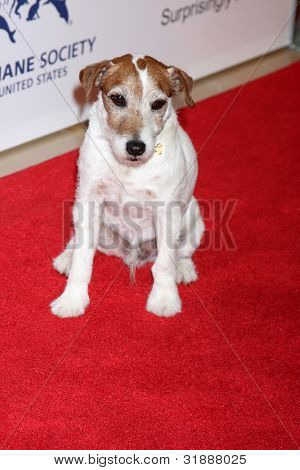 LOS ANGELES - 24 MAR: Outtakes arriva al 2012 Genesis Awards presso il Beverly Hilton Hotel di Marc