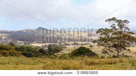 Rolling Dales Of Dairy Farm Pasture In Australian Hilly Country At The Top Of A Mountain Range, The 