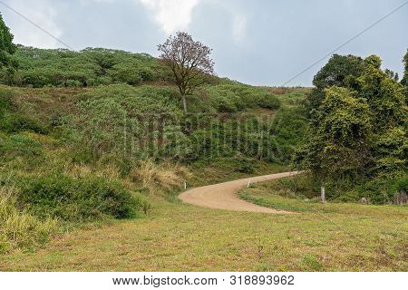 A Dirt Road Winding Up A Hill Towards A Plateau Through Dairy Farm Pasture On A Mountain Range In An