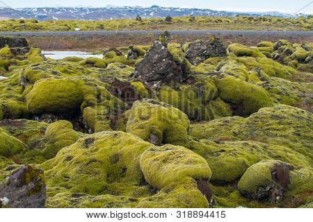 The Spectacular Landscape Of Eldhraun Lava Moss Field In Iceland. This Impressive Lava Field The Big