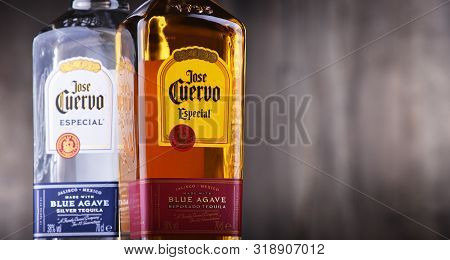 Bottles Of  Tequila Jose Cuervo