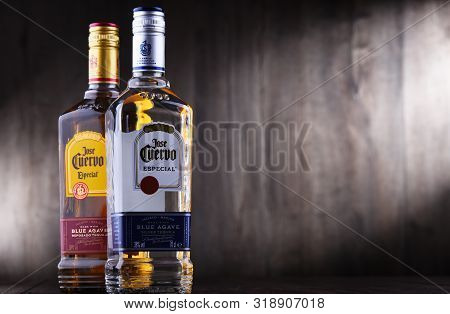 Bottles Of  Tequila Jose Cuervo