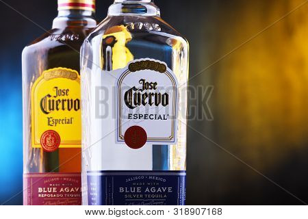 Bottles Of  Tequila Jose Cuervo
