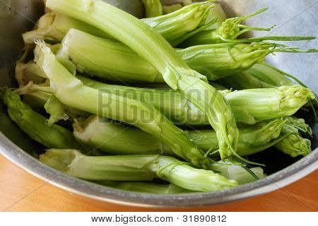 puntarelle hajtások, puntarelle saláta, főzés