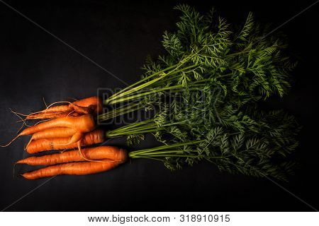A Strange Funny-shaped Carrot With Tops On A Dark Background. Vegetable Crop Concept. Minimalism, To