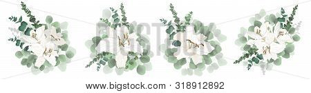 Set Of Vector Bouquets On A White Background. Lily Flowers, Green Plants, Eucalyptus, Berries.