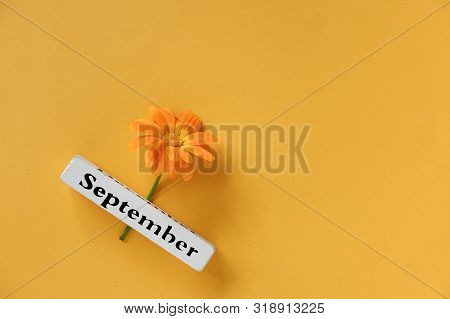 One Orange Calendula Flower And Calendar Autumn Month September On Yellow Background. Top View Copy 
